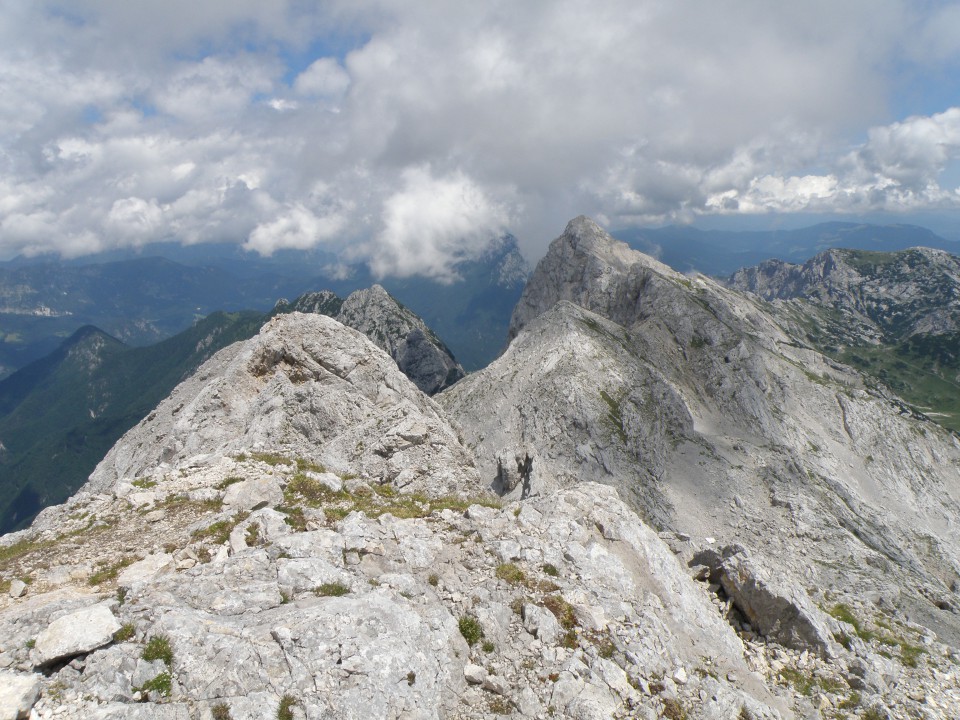 Ojstrica