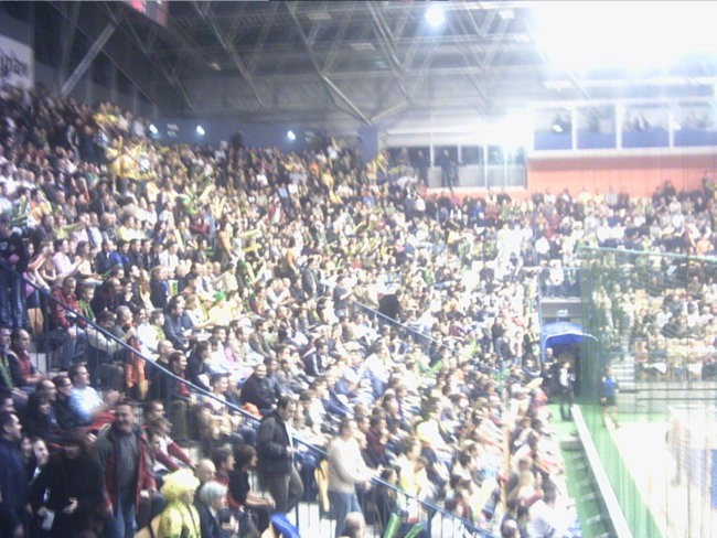 Celje PL VS. Ciudad Real (4.3.2006) - foto povečava