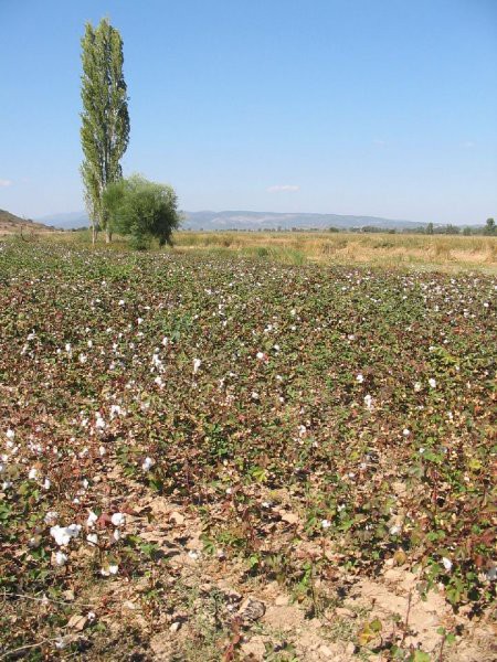 Turčija 2005 - foto povečava