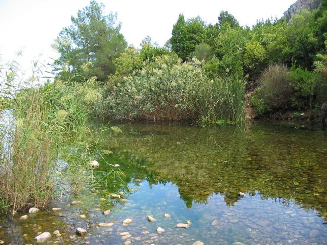 Turčija 2005 - foto povečava