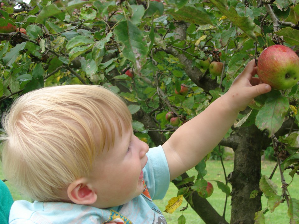 Rojstni dan oktoberčki 23.8.2008 - foto povečava