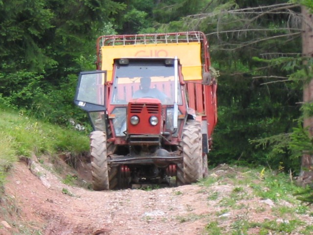 Spravilo sena - foto