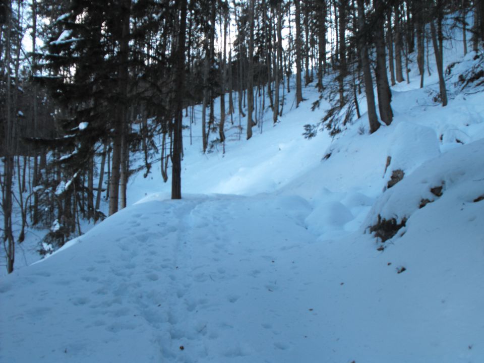 Kriška 2.2.2010 - foto povečava