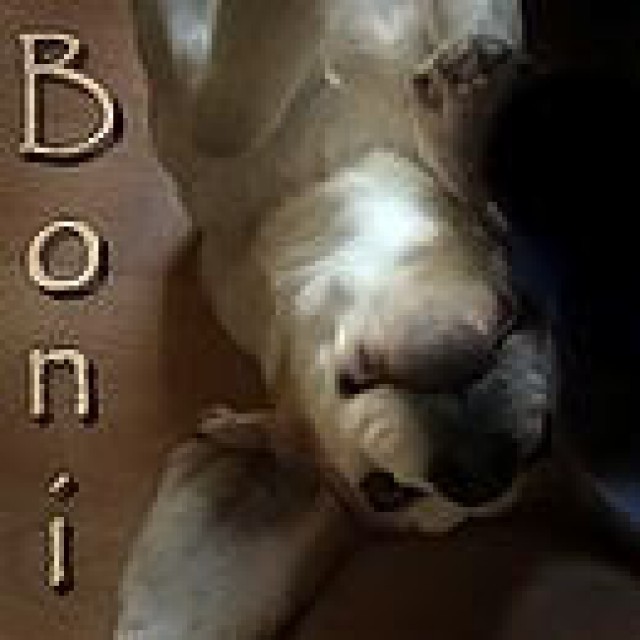 Avatarji - foto