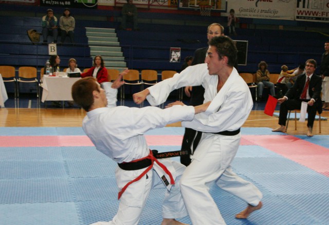 Pokal Domžale 2008 - foto