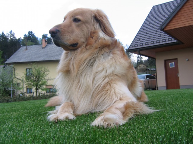 Baki - foto