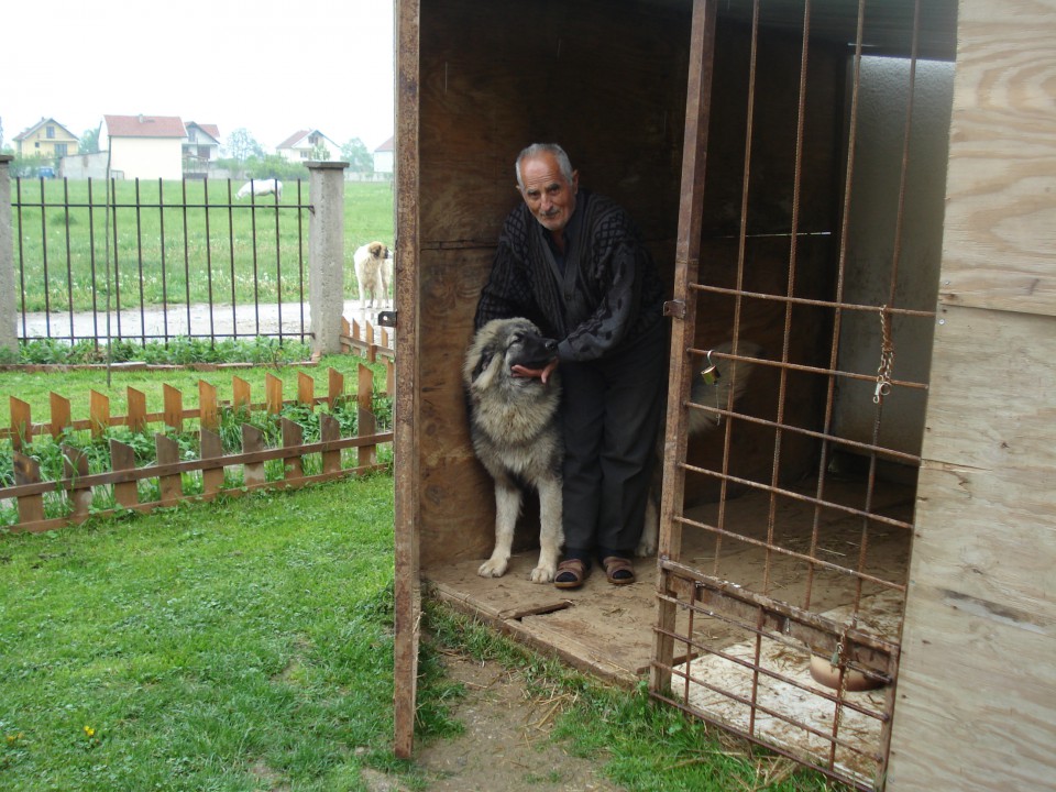 Sharki 7 Month's with his ovner Dulla from Ferizaj.