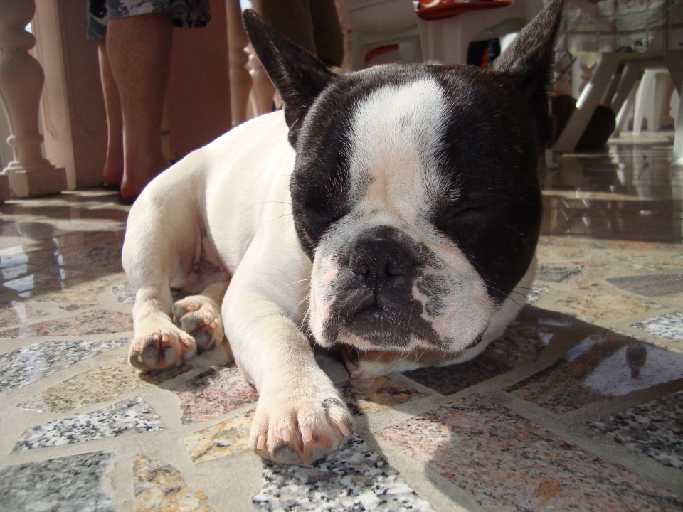 Tiba prvič na morju - foto povečava