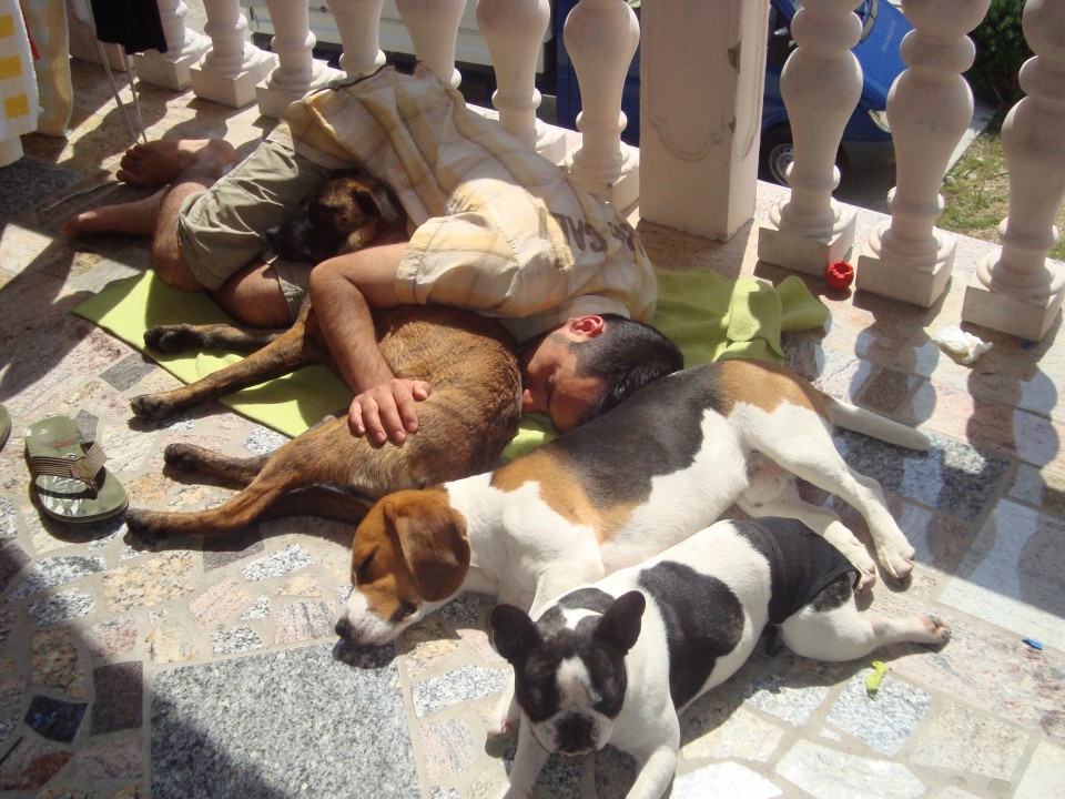 Tiba prvič na morju - foto povečava