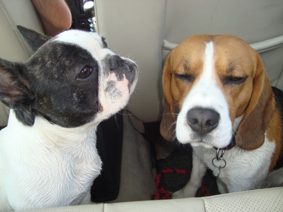 Tiba prvič na morju - foto povečava