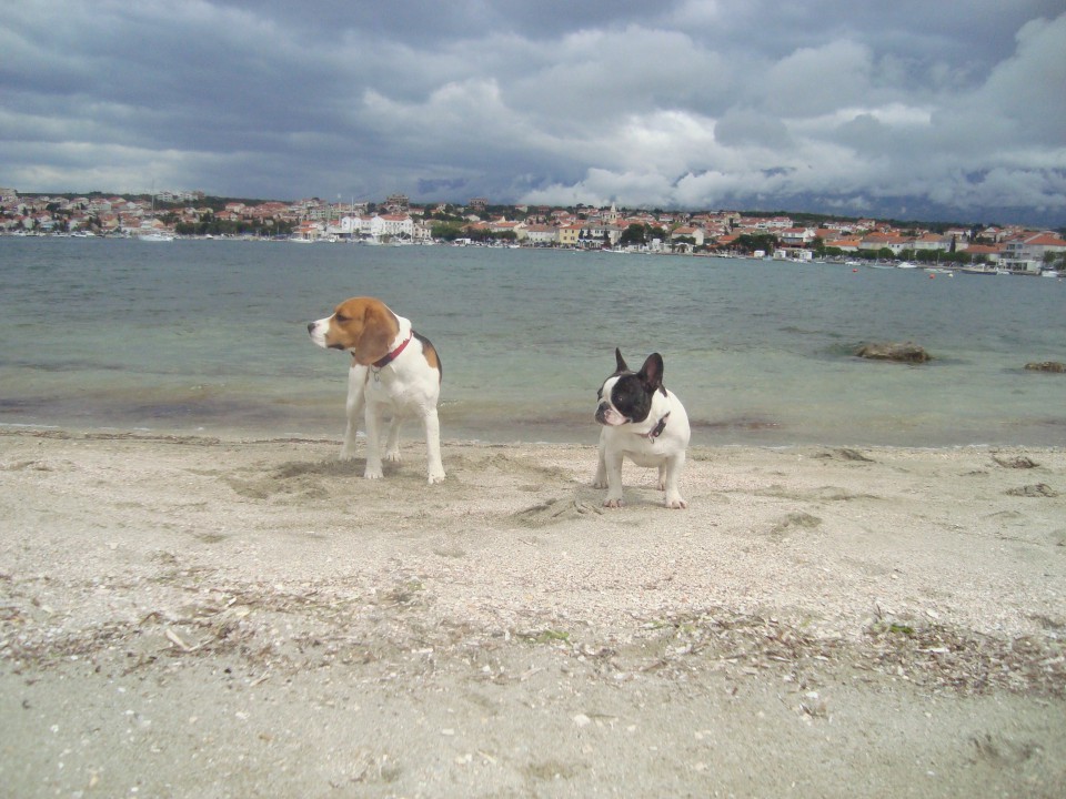 Tiba prvič na morju - foto povečava