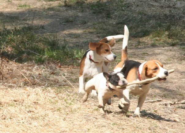 Tiba prvič na morju - foto povečava