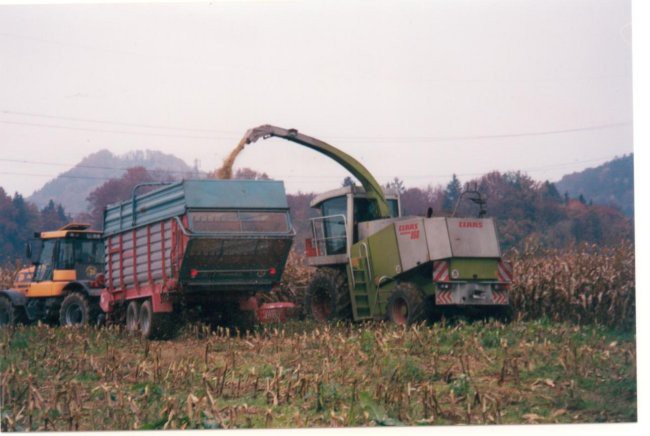 Siliranje - foto povečava