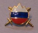 Slovenia military hat badge