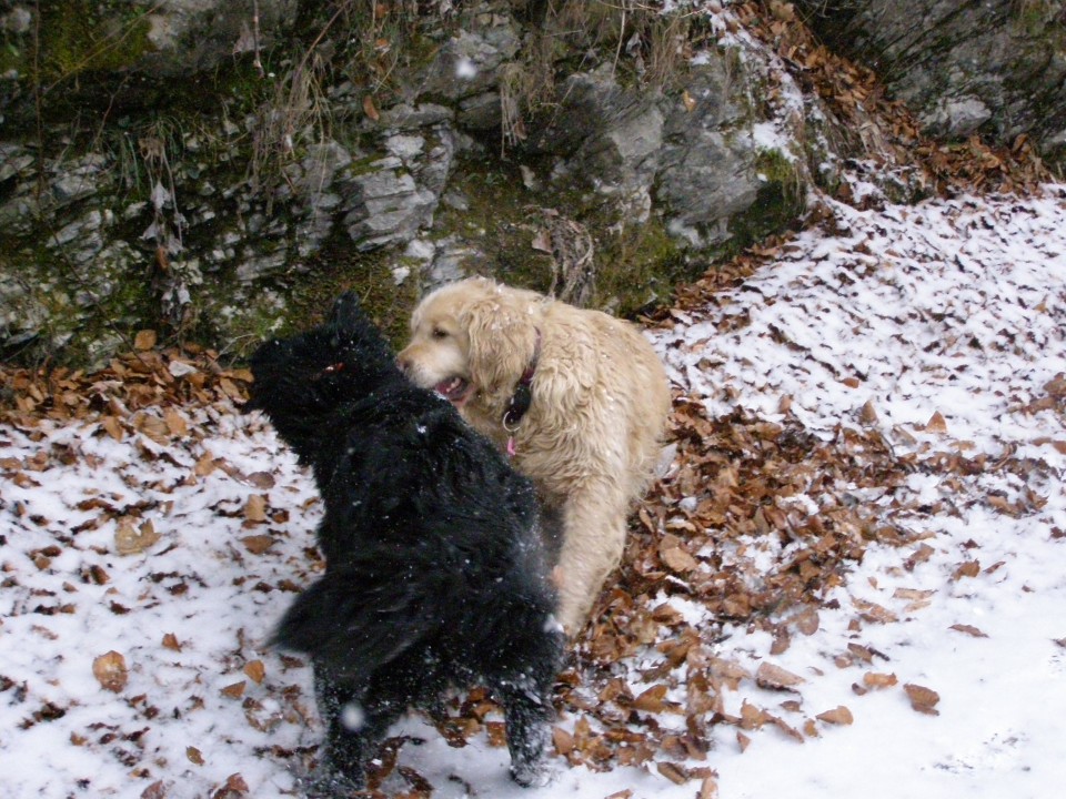 Luna&Mačk - foto povečava