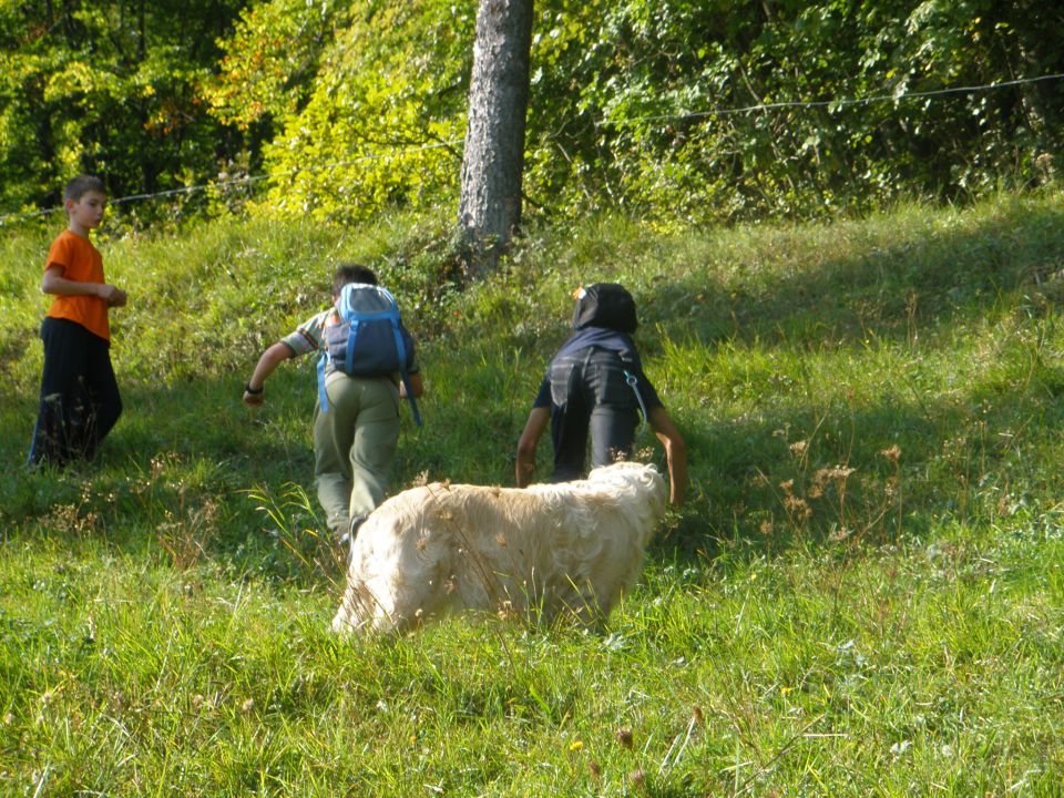 Luna&Mačk - foto povečava