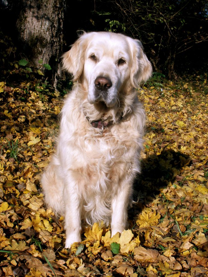 Luna&Mačk - foto povečava