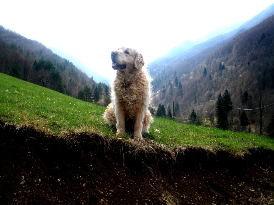 Luna&Mačk - foto povečava