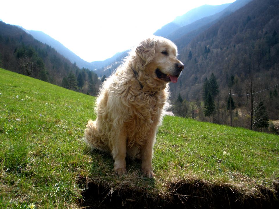 Luna&Mačk - foto povečava