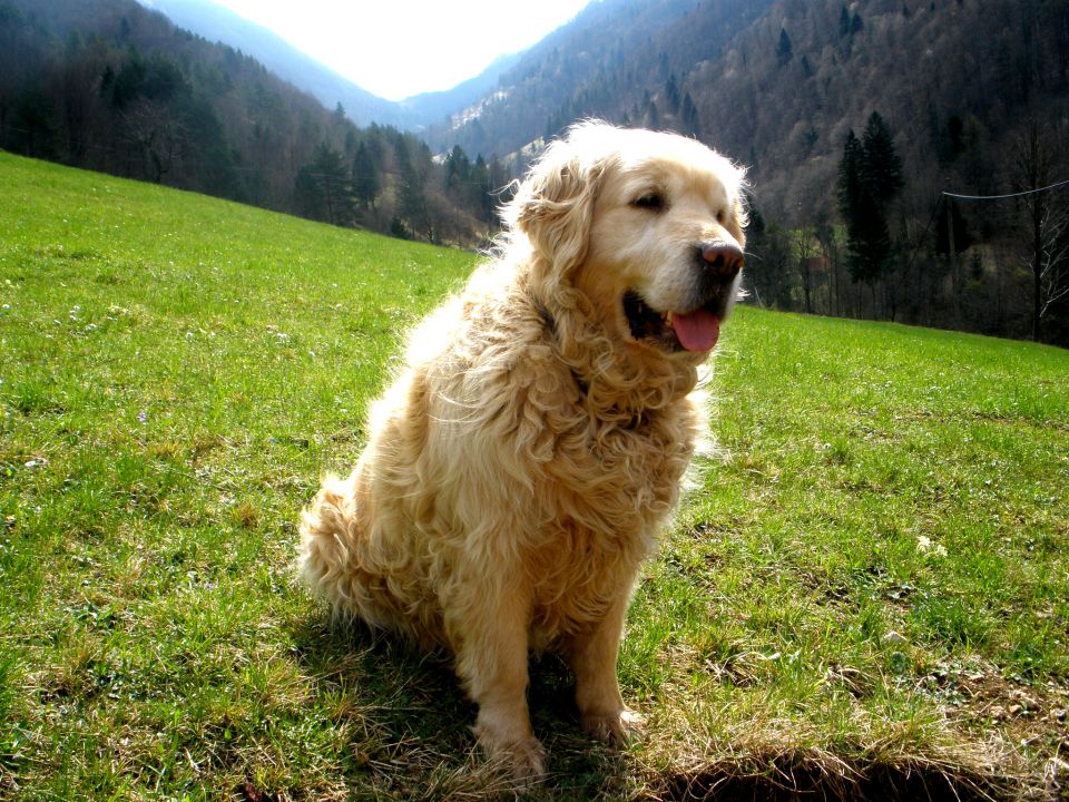 Luna&Mačk - foto povečava