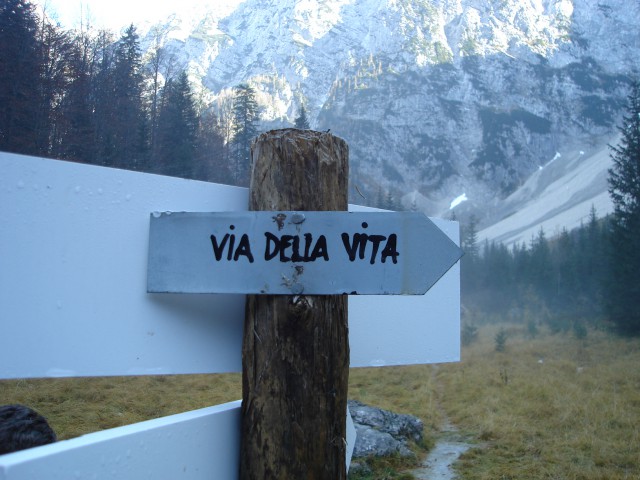 Via Italiana&via Della vita 2008 - foto