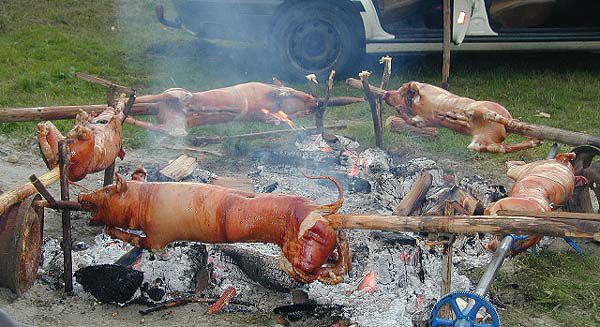 Morjeplovec - foto