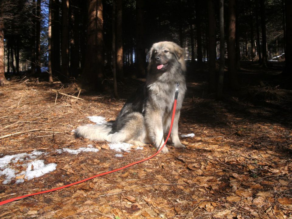 8 mesecev - foto povečava