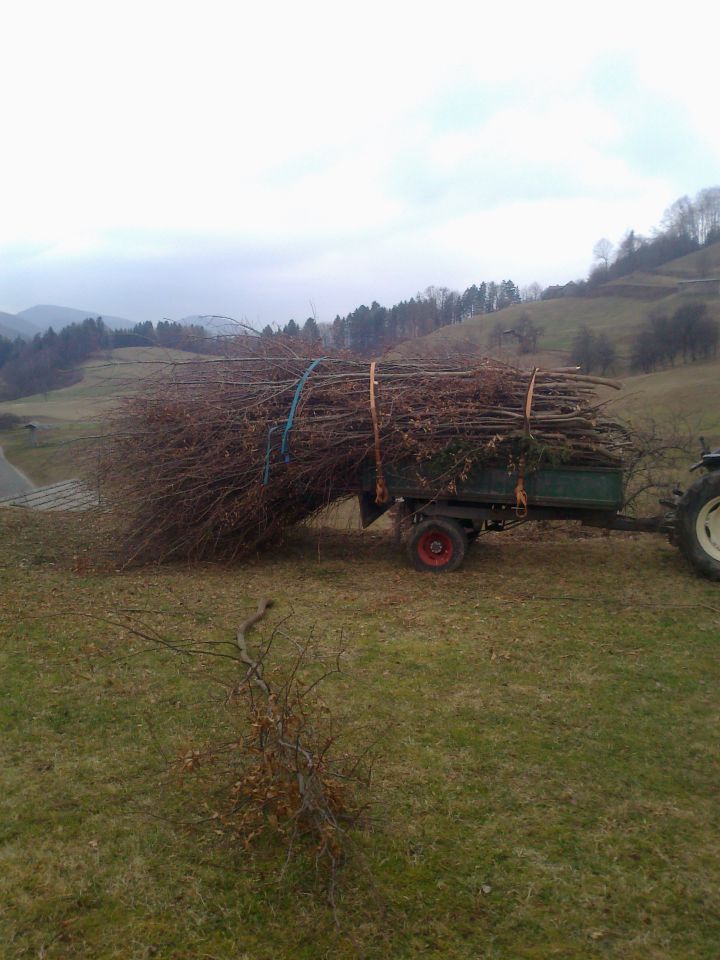 Kmetijstvo - foto povečava