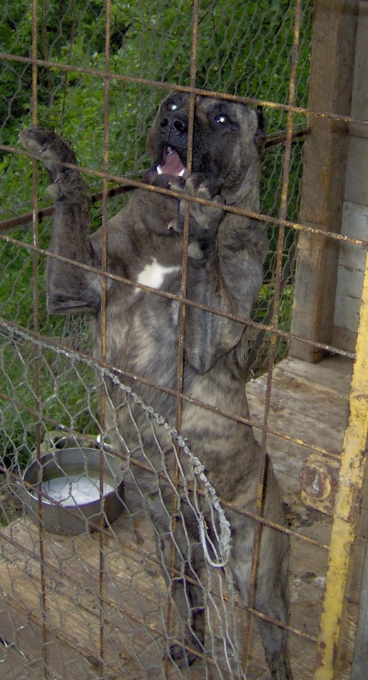 Razno - foto povečava