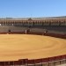 Arena v Sevilli