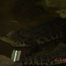 Dva 3m dolga krokodila! :O