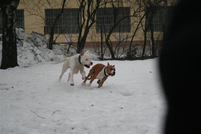 Chuck, Onyx & Staff - 29.01.2006 - foto povečava