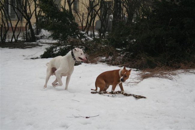 Chuck, Onyx & Staff - 29.01.2006 - foto povečava