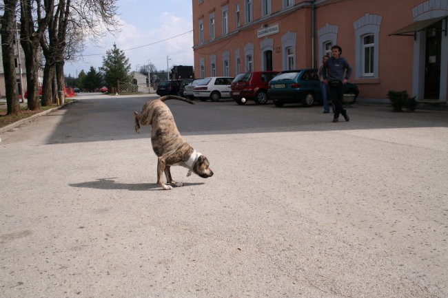 2.04.2006 kp azil - foto povečava