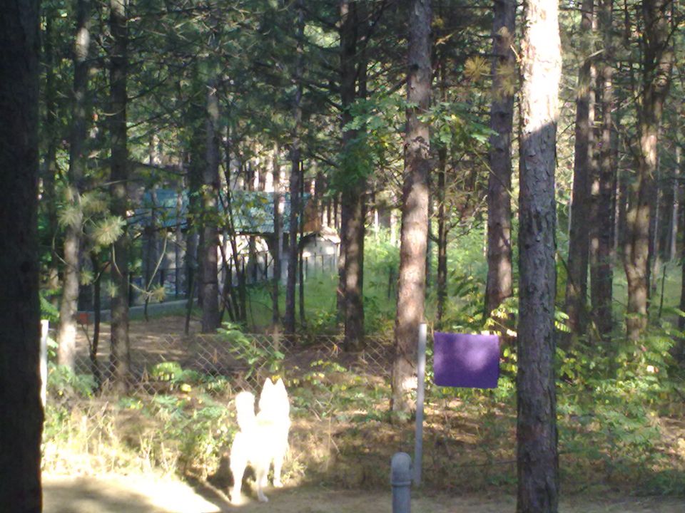 Ari - foto povečava