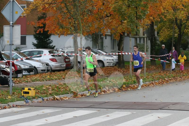 Maraton Ljubljana 2010 - foto povečava