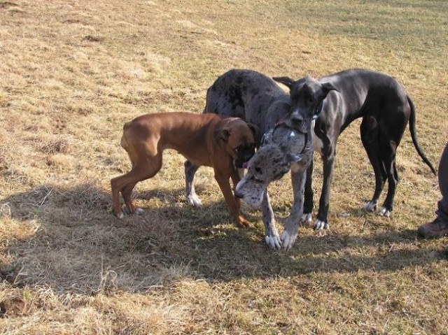 Zajčja, 19.2.2005 - foto