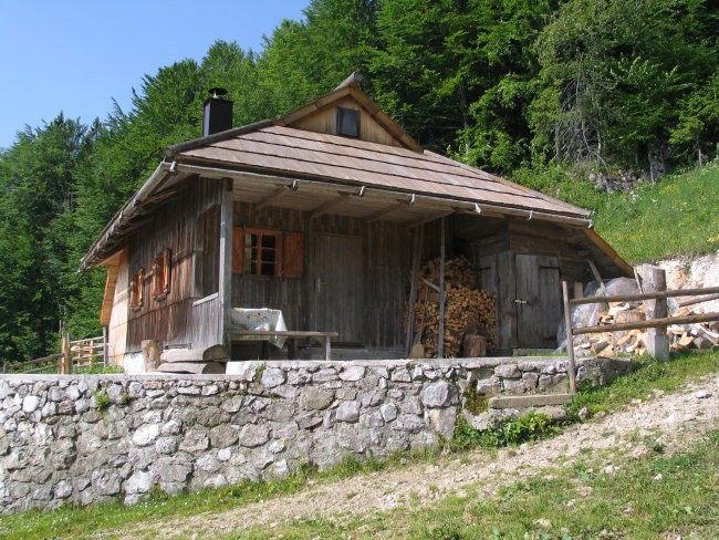 Velika planina 19.6.2006 - foto povečava