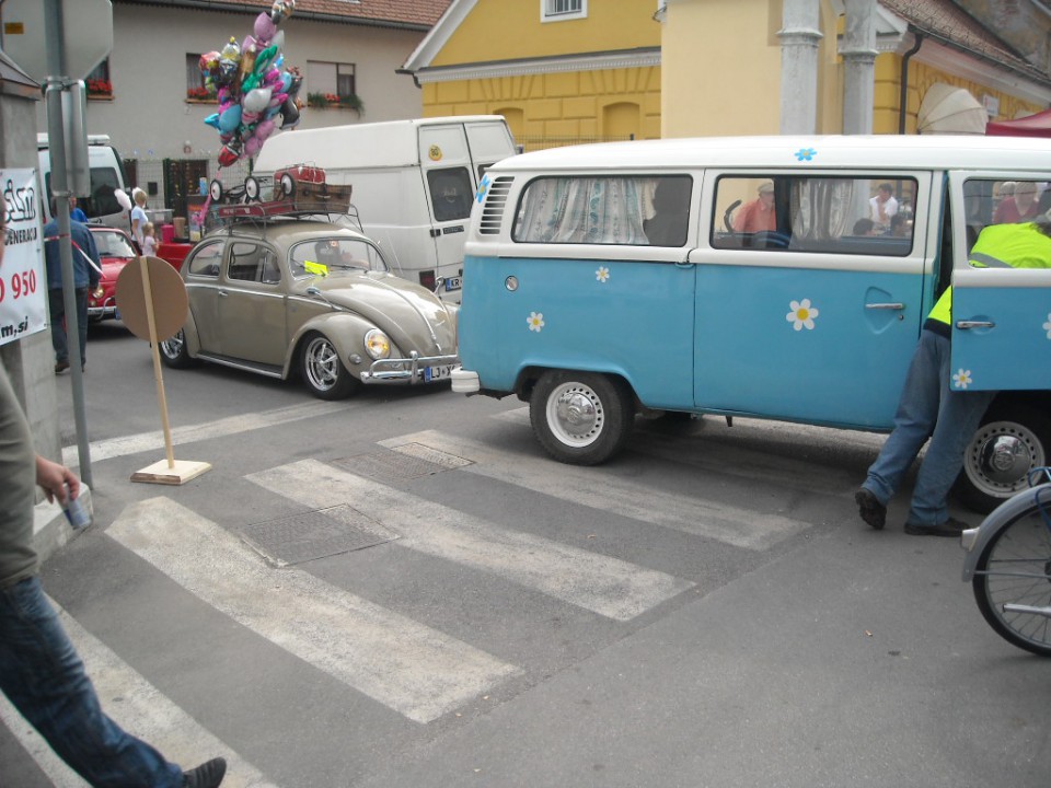 Vransko 2009 - foto povečava