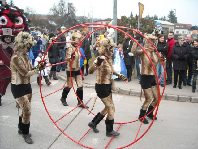 Pust Bela krajina 2011 - foto