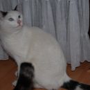Johnny in Lucky dobita Božičkova darila, predbožični večer 2007