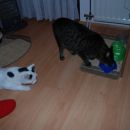 Johnny in Lucky dobita Božičkova darila, predbožični večer 2007