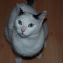 Johnny in Lucky dobita Božičkova darila, predbožični večer 2007