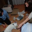 Johnny in Lucky dobita Božičkova darila, predbožični večer 2007