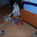 Johnny in Lucky dobita Božičkova darila, predbožični večer 2007