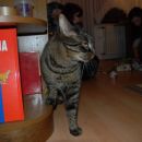 Johnny in Lucky dobita Božičkova darila, predbožični večer 2007
