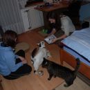 Johnny in Lucky dobita Božičkova darila, predbožični večer 2007