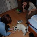 Johnny in Lucky dobita Božičkova darila, predbožični večer 2007