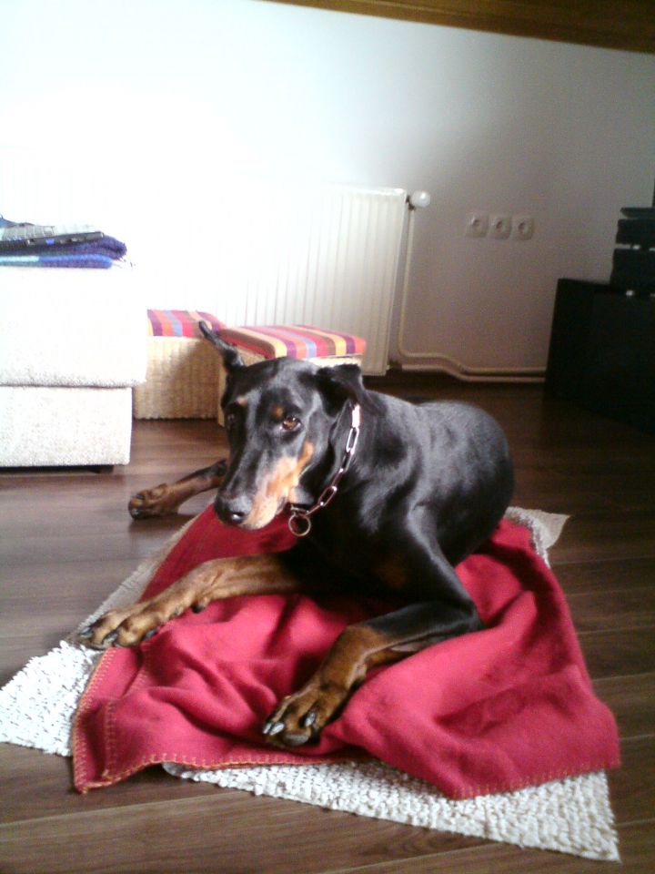 Fabija, 7.3.2010 - foto povečava