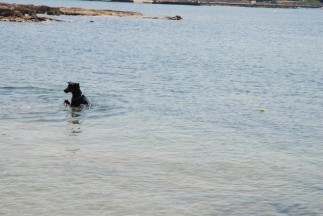 Fabija na morju, konec aprila 2007 - foto